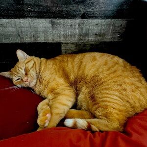 Meet your Posher, Jacob